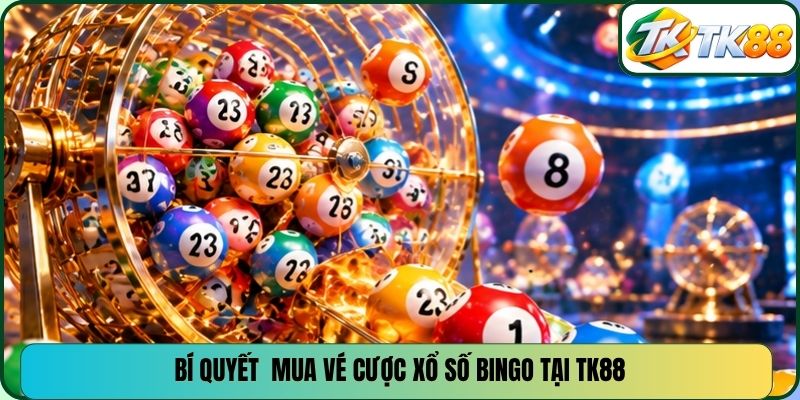 Bí quyết mua vé cược xổ số bingo tại TK88