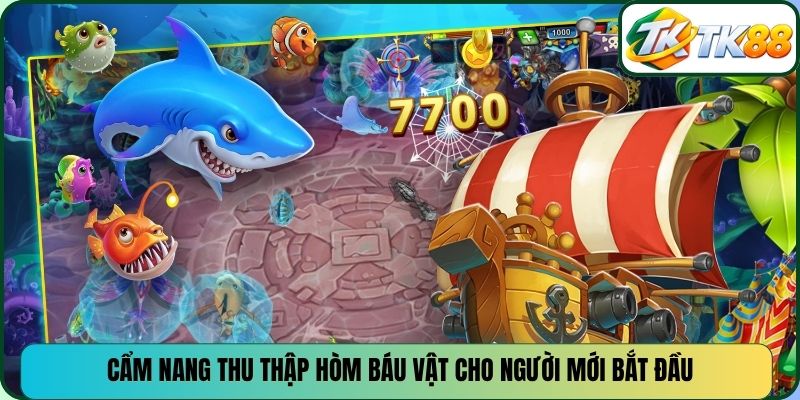 Cẩm nang thu thập hòm báu vật cho người mới bắt đầu