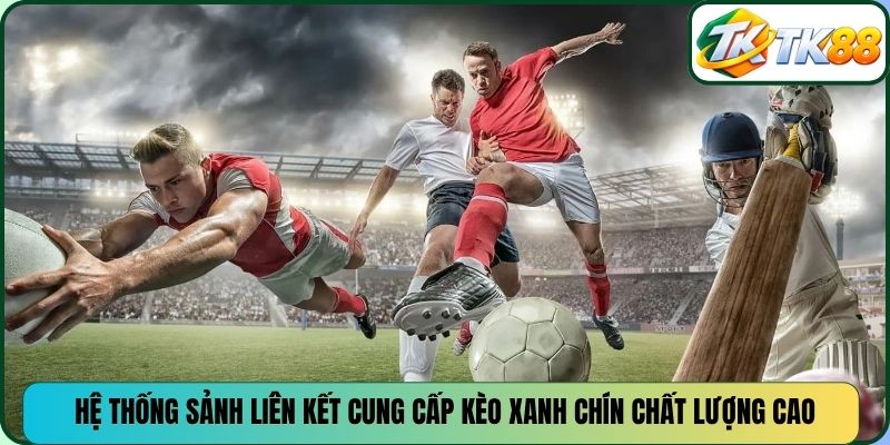 Hệ thống sảnh liên kết cung cấp kèo xanh chín chất lượng cao