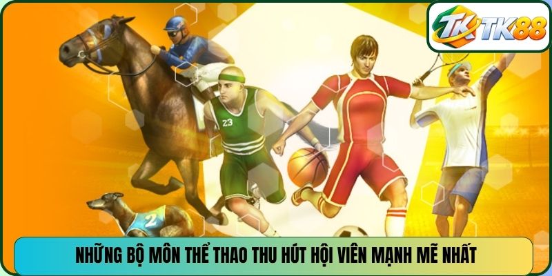 Những bộ môn thể thao thu hút hội viên mạnh mẽ nhất
